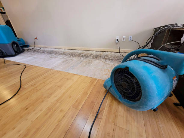 Professional Basement Flood Cleanup technician working in Trinway, OH